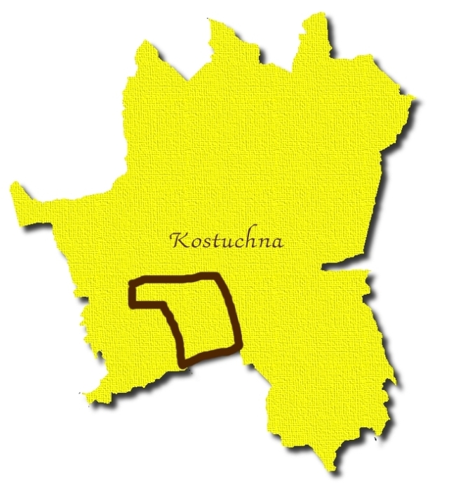 Kostuchna