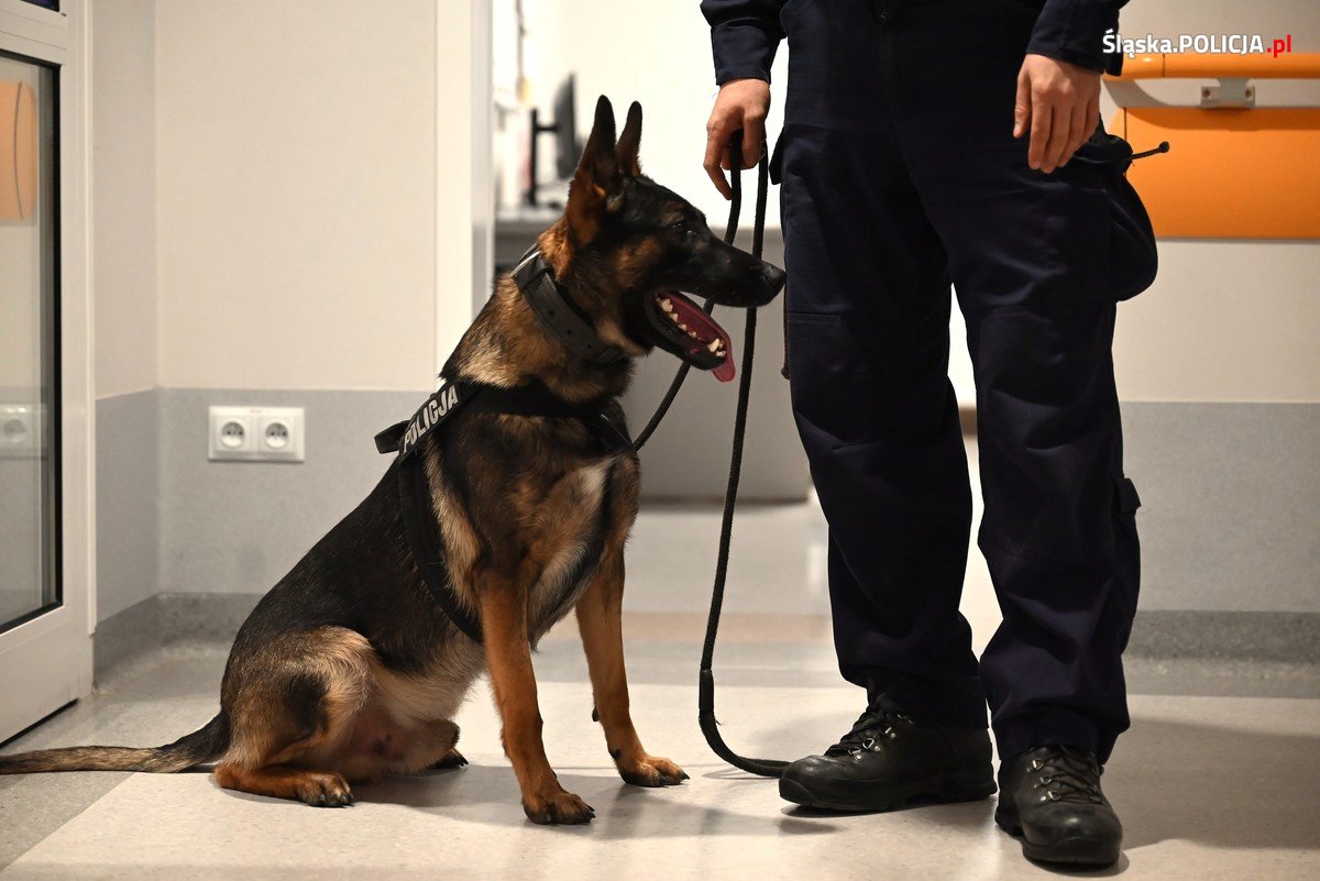 Śląska policja ćwiczyła działania kryzysowe w katowickim szpitalu - fotoreportaż