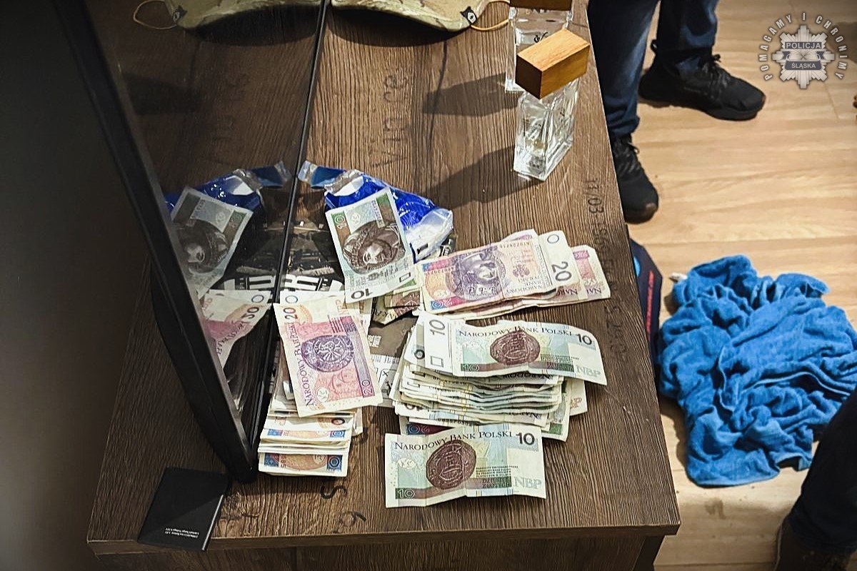 Handel ludźmi, narkotyki i nielegalna migracja. Międzynarodowa akcja śląskiej policji! - fotoreportaż