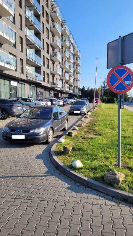 Wyzwanie Parkowanie. Strażnicy miejscy interweniowali 865 razy w tydzień - fotoreportaż
