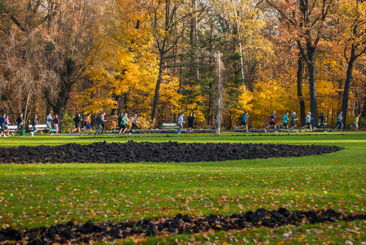 “Cichy” parkrun z okazji 1 listopada [FOTORELACJA] - fotoreportaż
