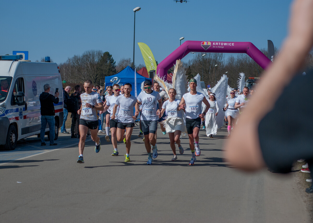 Za nami kolejna, dwunasta już odsłona biegu fundacji Śląskie Anioły. Kilkuset uczestników ruszyło dziś w trasę biegnącą alejkami katowickiego Parku Leśnego.