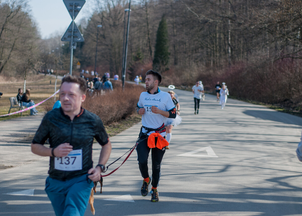 Za nami kolejna, dwunasta już odsłona biegu fundacji Śląskie Anioły. Kilkuset uczestników ruszyło dziś w trasę biegnącą alejkami katowickiego Parku Leśnego.