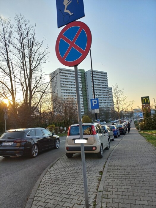 140 tysięcy złotych kar w Katowicach. Straż miejska nie odpuszcza