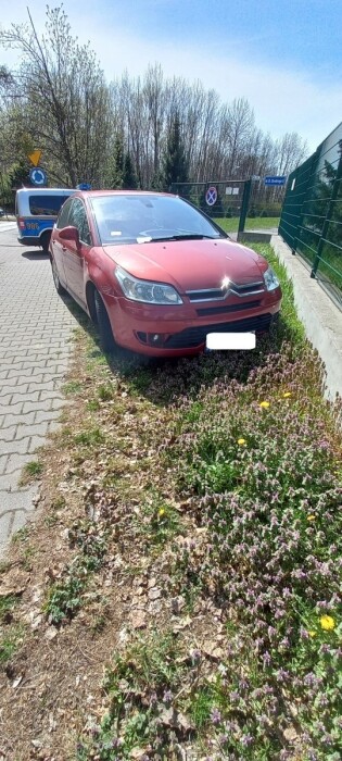 140 tysięcy złotych kar w Katowicach. Straż miejska nie odpuszcza