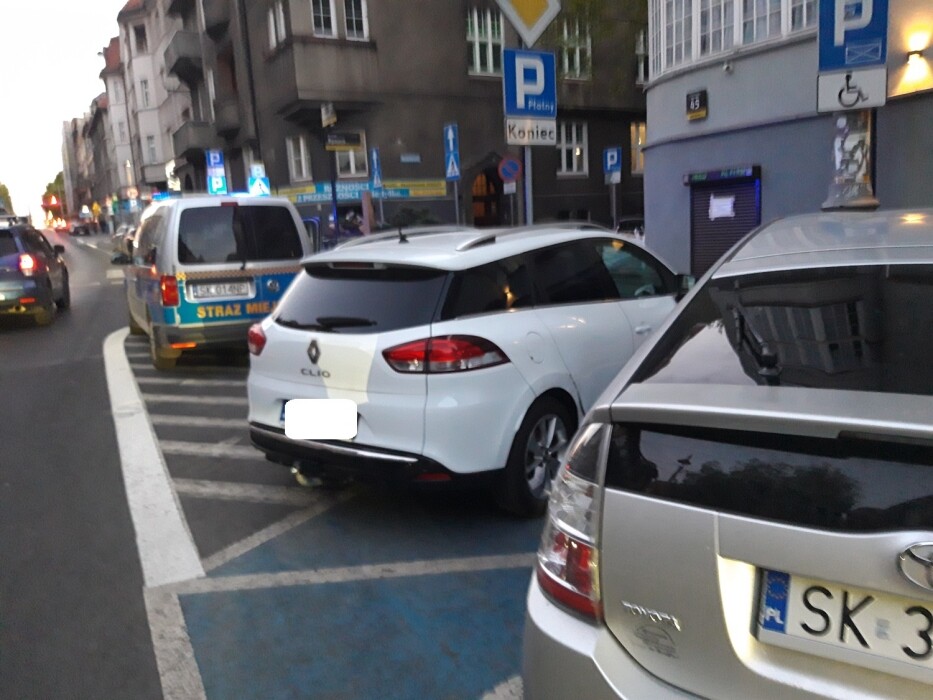 140 tysięcy złotych kar w Katowicach. Straż miejska nie odpuszcza