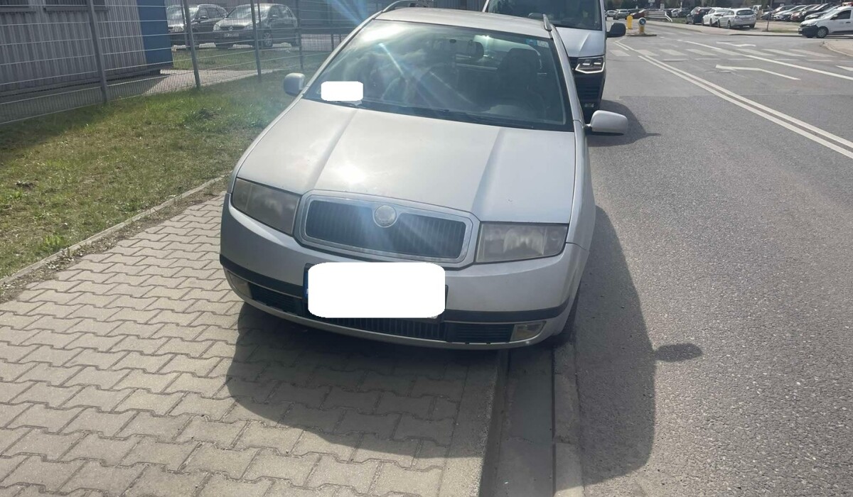 140 tysięcy złotych kar w Katowicach. Straż miejska nie odpuszcza