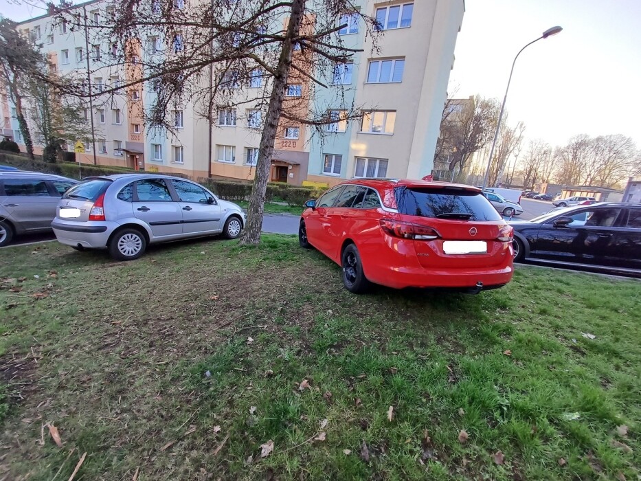140 tysięcy złotych kar w Katowicach. Straż miejska nie odpuszcza