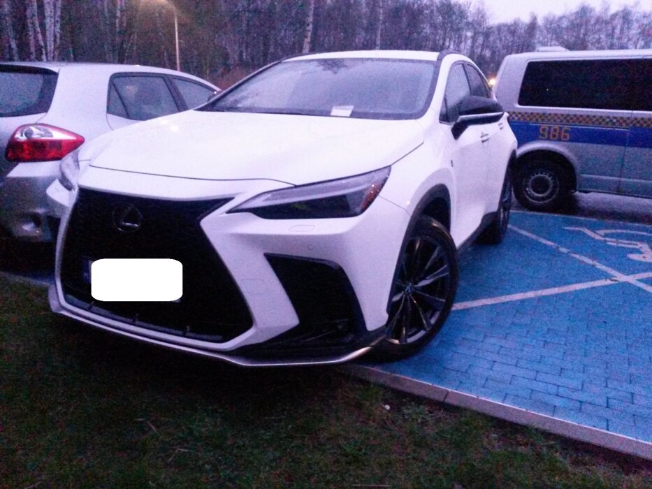 140 tysięcy złotych kar w Katowicach. Straż miejska nie odpuszcza