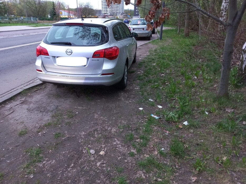 140 tysięcy złotych kar w Katowicach. Straż miejska nie odpuszcza