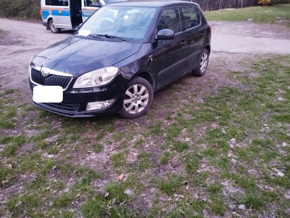 140 tysięcy złotych kar w Katowicach. Straż miejska nie odpuszcza
