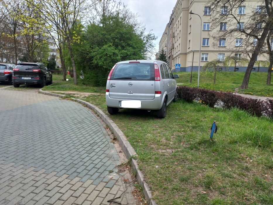 140 tysięcy złotych kar w Katowicach. Straż miejska nie odpuszcza