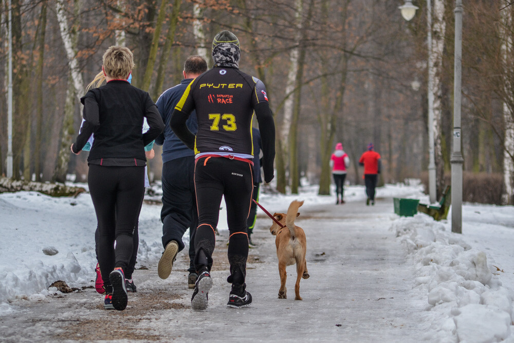 Kilkadziesiąt osób wzięło udział w walentynkowej, 144. edycji biegu parkrun w Parku Kościuszki w Katowicach. Zobaczcie z zdjęcia z sobotnich zawodów.