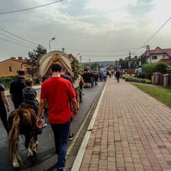 Dożynki Katowickie w Kostuchnie [ZDJĘCIA]