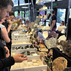 Ślonsko Giełda Minerałów w Spodku