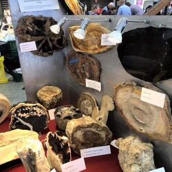 Ślonsko Giełda Minerałów w Spodku