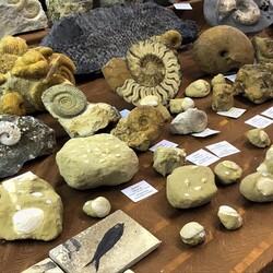 Ślonsko Giełda Minerałów w Spodku