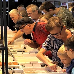 Ślonsko Giełda Minerałów w Spodku