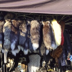 Motocyklowe Zakończenie Lata