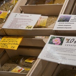 49 targi Bliżej zdrowia, bliżej natury