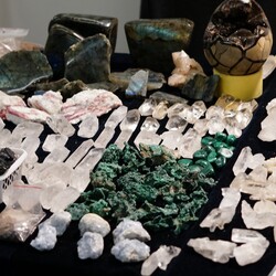 49 targi Bliżej zdrowia, bliżej natury