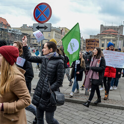 Śląska Manifa 2020 [FILM + ZDJĘCIA]