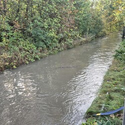 Gwałtowne opady w Katowicach
