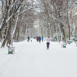 Pierwszy parkrun Katowice 2025 [FOTORELACJA]