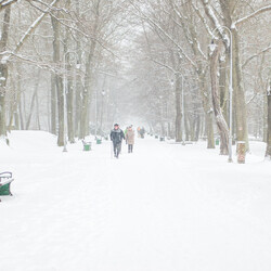 Pierwszy parkrun Katowice 2025 [FOTORELACJA]
