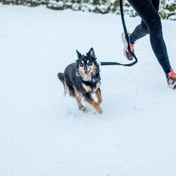 Pierwszy parkrun Katowice 2025 [FOTORELACJA]