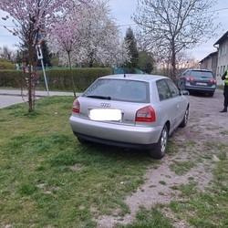 140 tysięcy złotych kar w Katowicach. Straż miejska nie odpuszcza
