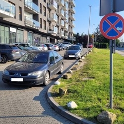 Wyzwanie Parkowanie. Strażnicy miejscy interweniowali 865 razy w tydzień