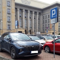 Wyzwanie Parkowanie. Strażnicy miejscy interweniowali 865 razy w tydzień