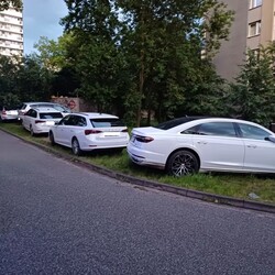 Wyzwanie – parkowanie” w Katowicach: 439 interwencji w jeden tydzień