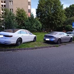 Wyzwanie – parkowanie” w Katowicach: 439 interwencji w jeden tydzień