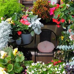 Konkurs na najpiękniejszy balkon