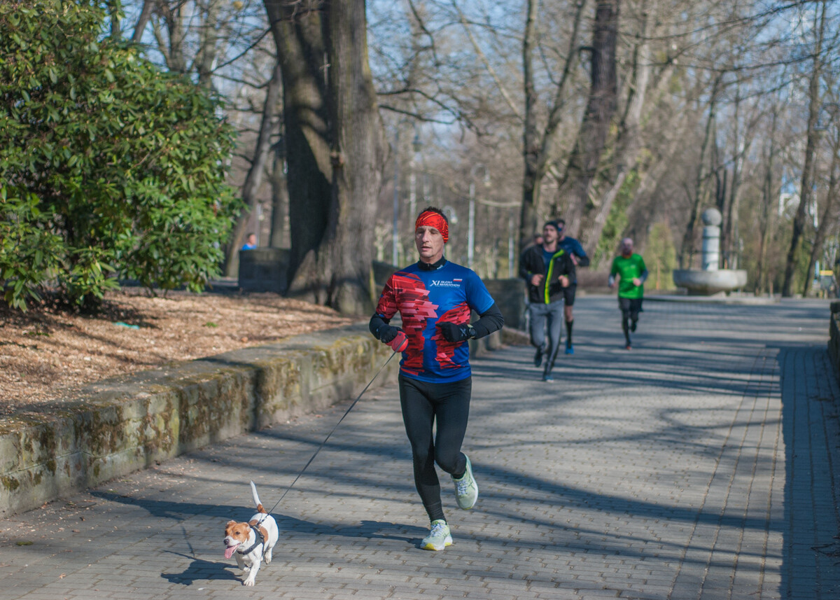 Za nami kolejna edycja spotkań biegowych parkrun Katowice. Tym razem, przy okazji okrągłej, 400. rocznicy, powitano także nadejście wiosny.