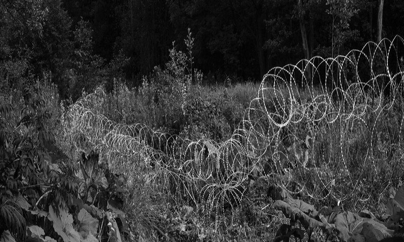 Beats of solidarity: polscy i zagraniczni artyści zagrają na rzecz wsparcia Grupy Granica