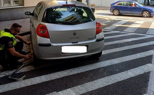 Blokady, mandaty i zniszczona zieleń. Ponad 700 interwencji w tydzień!