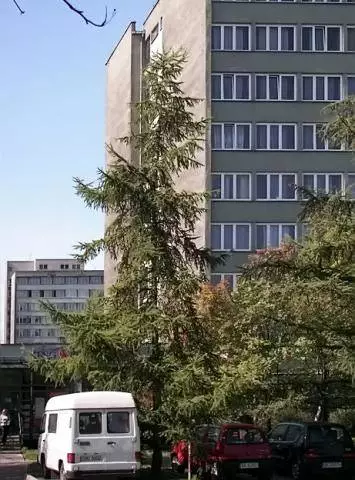 Dom Studenta Śl.U.M.