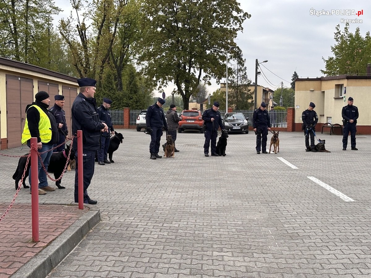 Katowiccy przewodnicy psów z pokazem w Szkole Policji / fot. KMP Katowice