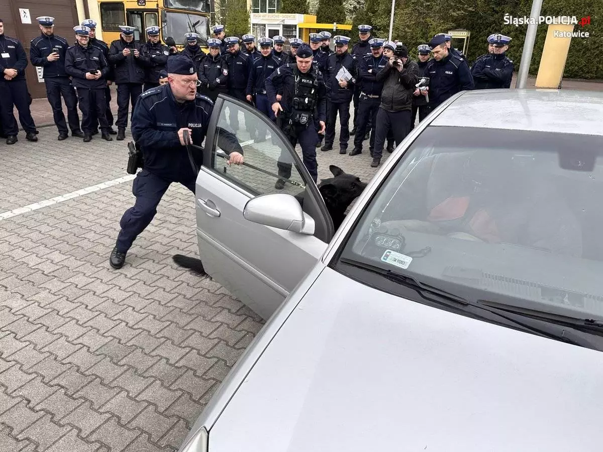 Katowiccy przewodnicy psów z pokazem w Szkole Policji / fot. KMP Katowice