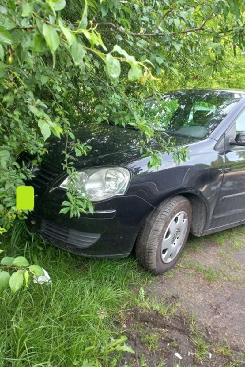 Mistrzowie Parkowania 20-26 maja / fot. Straż Miejska Katowice