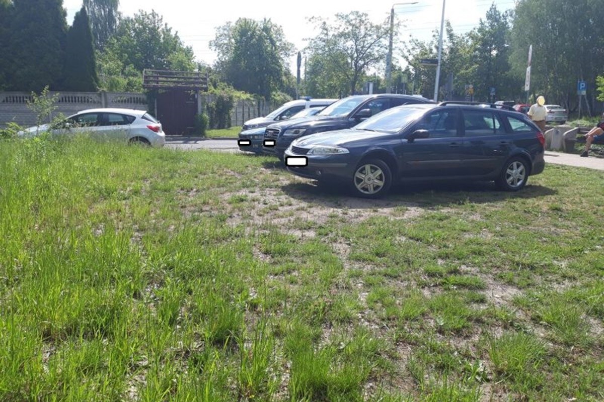 Mistrzowie Parkowania 20-26 maja / fot. Straż Miejska Katowice