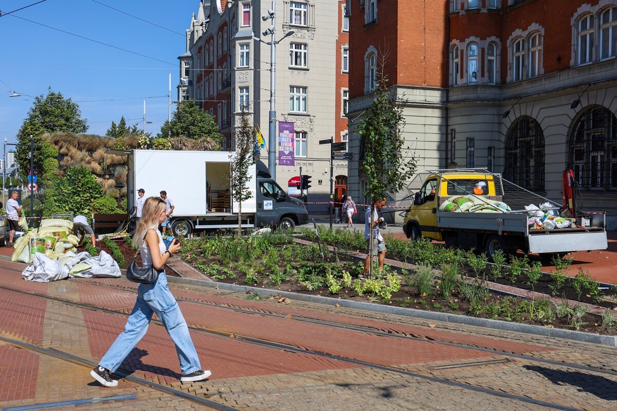 Zazielenianie Katowic / fot. FB UM Katowice