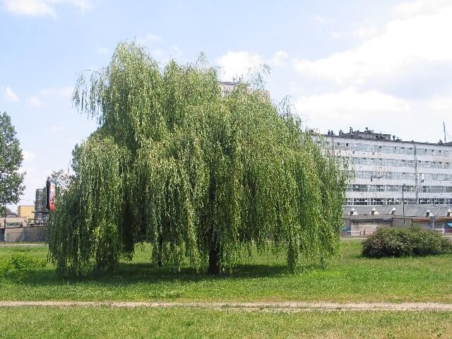 Katowice - Zakład Przemysłowy  Bombardier Transportation