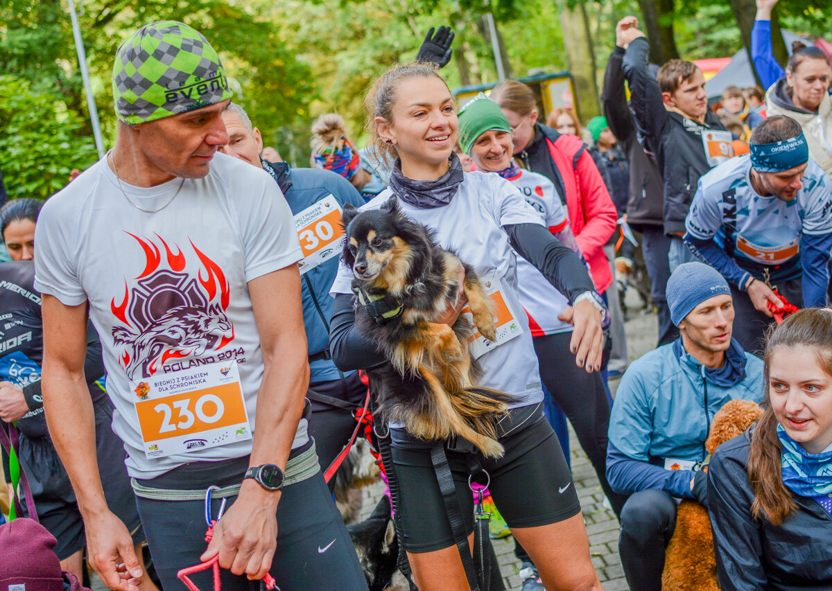 Za nami kolejna odsłona Katowickiego Dnia Psiaka. Zobaczcie, jak było na głównym biegu podczas tegorocznej edycji.