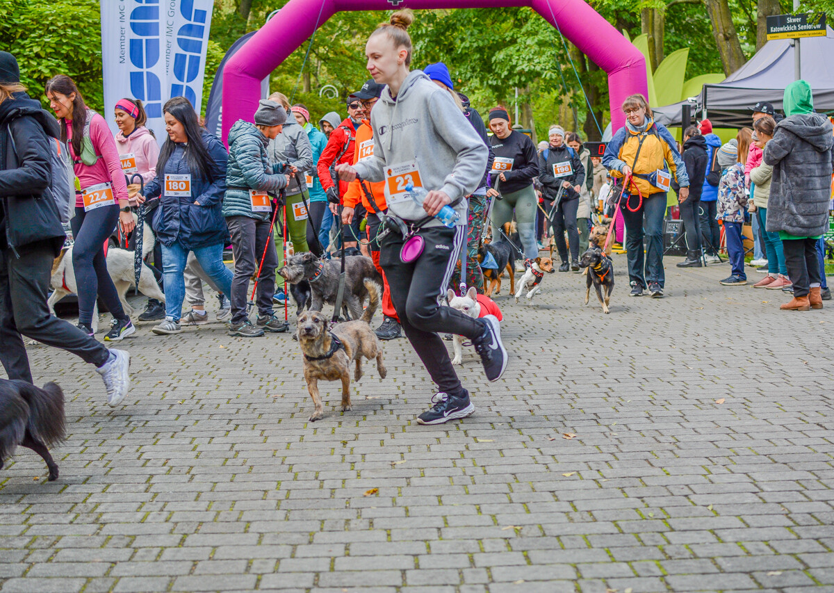 Za nami kolejna odsłona Katowickiego Dnia Psiaka. Zobaczcie, jak było na głównym biegu podczas tegorocznej edycji.