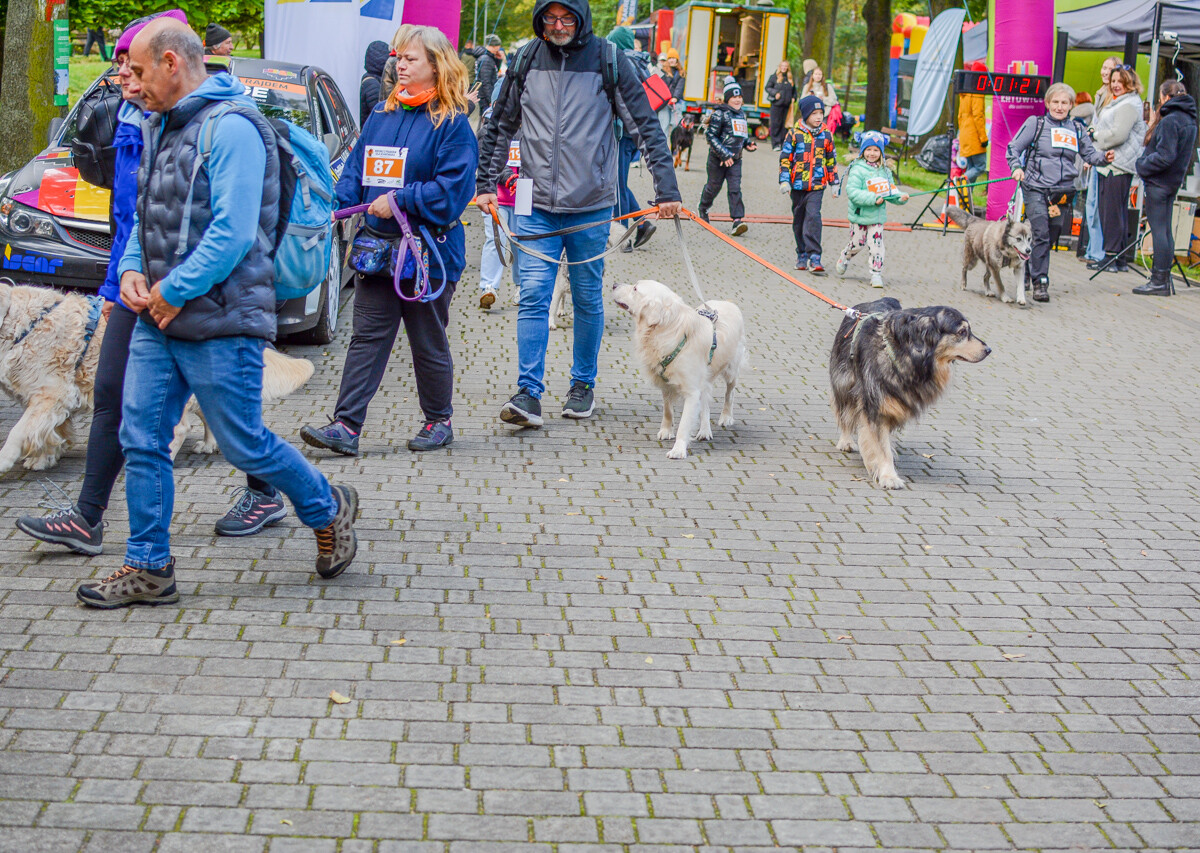 Za nami kolejna odsłona Katowickiego Dnia Psiaka. Zobaczcie, jak było na głównym biegu podczas tegorocznej edycji.
