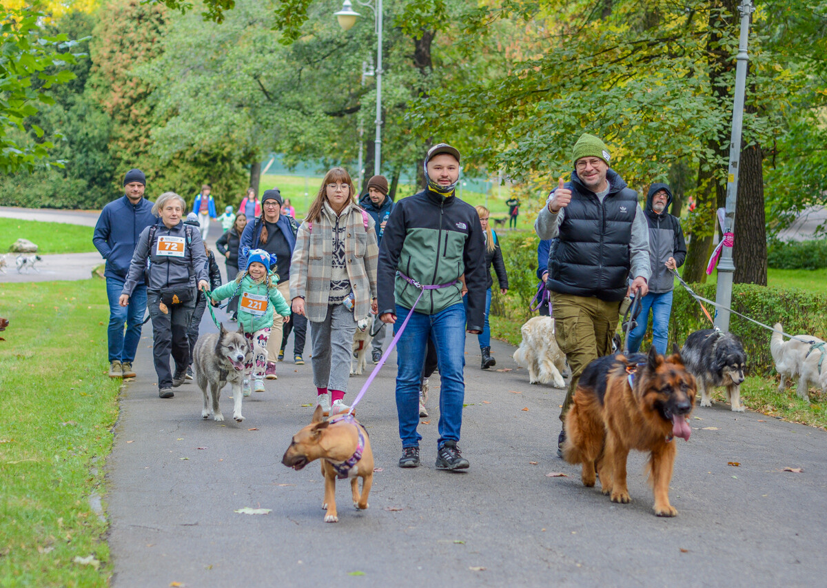 Za nami kolejna odsłona Katowickiego Dnia Psiaka. Zobaczcie, jak było na głównym biegu podczas tegorocznej edycji.